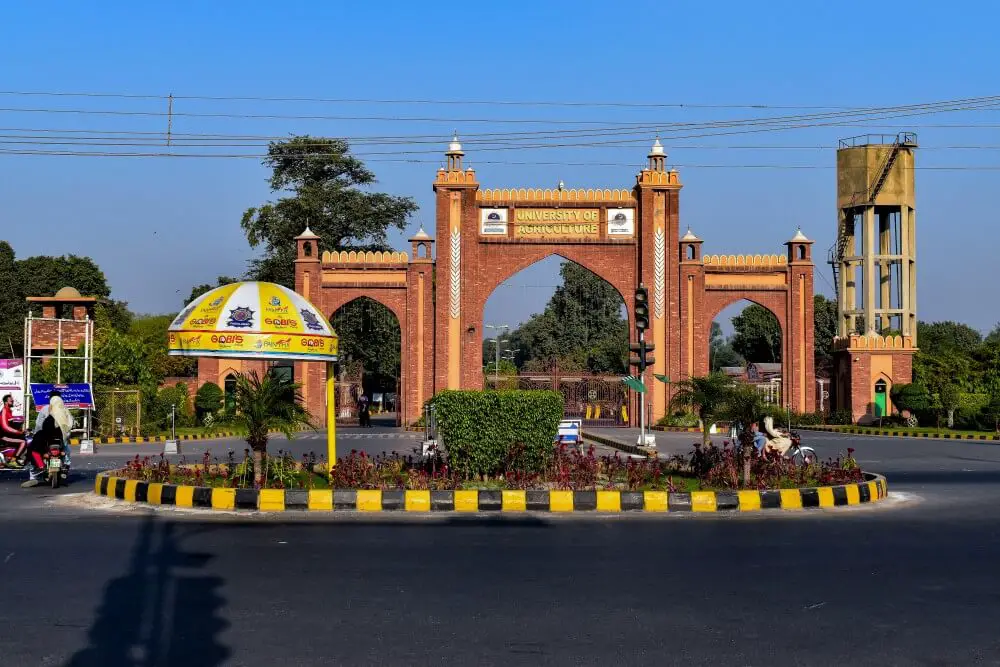 university-of-agriculture-faisalabad